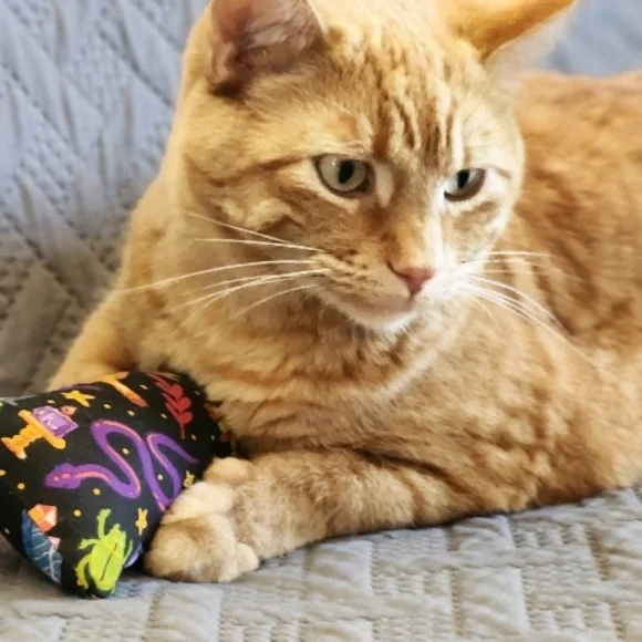 Catnip Cat Kickers, Big kickers, Mushrooms, Cottagecore, Kitten - Picture 4 of 5